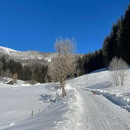 Chalet Frein - Kaltenbach Frein an der Murz