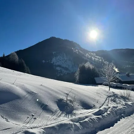 Frein - Kaltenbach Chalé *