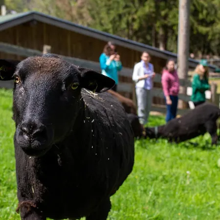 Chalé Frein - Kaltenbach *