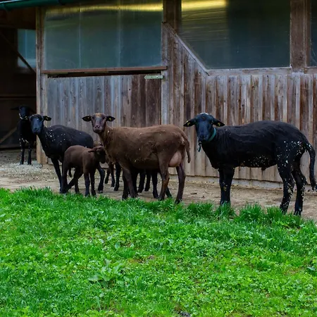 Frein - Kaltenbach Chalé Frein an der Murz