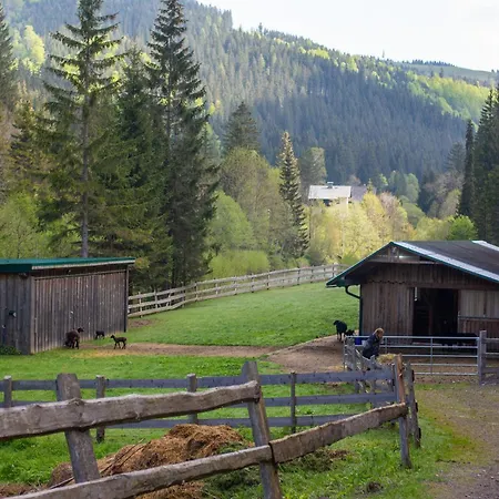 Frein - Kaltenbach *