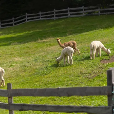 Chalet Frein - Kaltenbach *