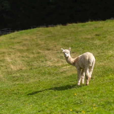 Frein - Kaltenbach Frein an der Murz