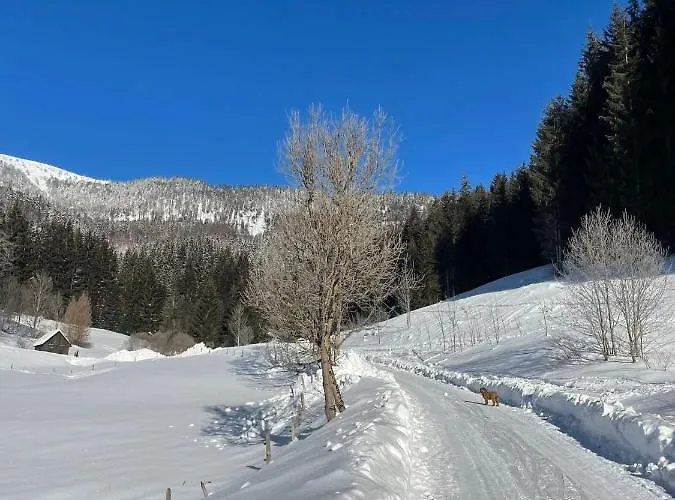 شاليه Frein - Kaltenbach Frein an der Murz