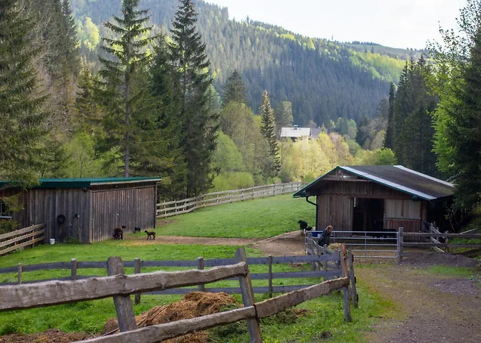 Frein - Kaltenbach *