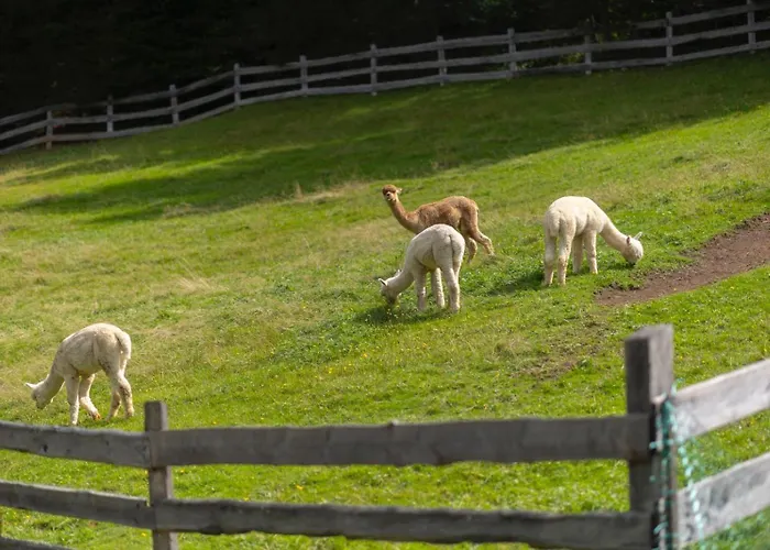 شاليه Frein - Kaltenbach *