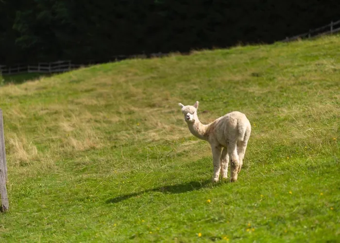 Frein - Kaltenbach Frein an der Murz